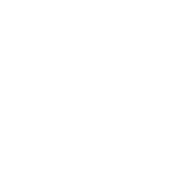 CareVista Pflegedienst Logo